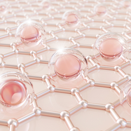 Tallow vs. Marine vs. Bovine Collagen: What’s the Difference?