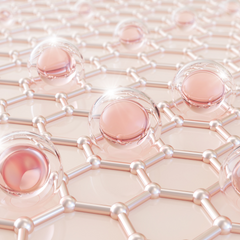 Tallow vs. Marine vs. Bovine Collagen: What’s the Difference?